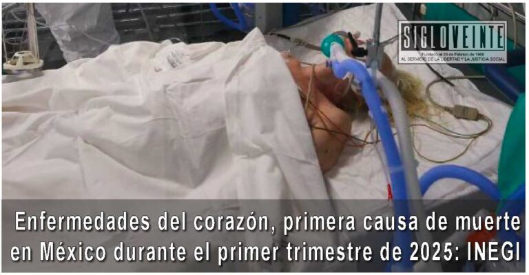 Enfermedades del corazón, primera causa de muerte en México durante el primer trimestre de 2025: INEGI