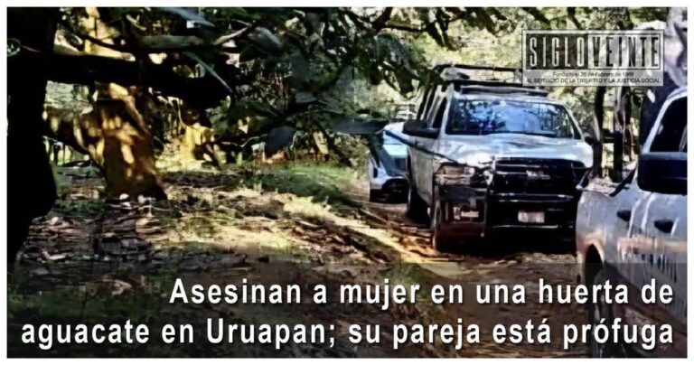 Asesinan a mujer en una huerta de aguacate en Uruapan; su pareja está prófuga