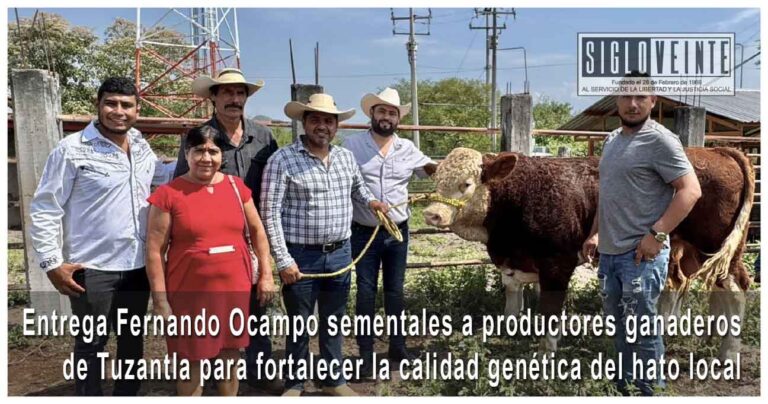 Entrega Fernando Ocampo sementales a productores ganaderos de Tuzantla para fortalecer la calidad genética del hato local