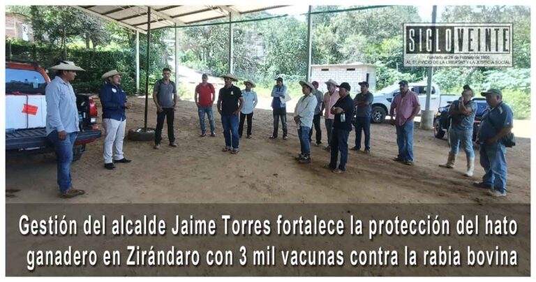 Gestión del alcalde Jaime Torres fortalece la protección del hato ganadero en Zirándaro con 3 mil vacunas contra la rabia bovina