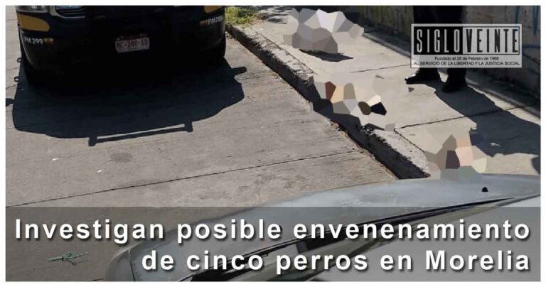 Investigan posible envenenamiento de cinco perros en Morelia