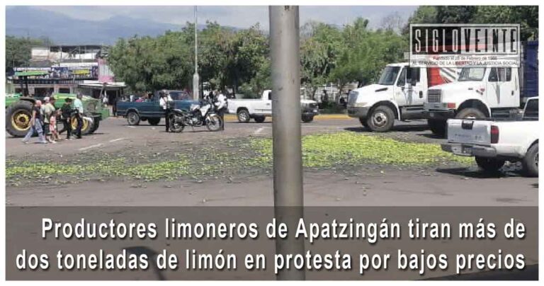 Productores limoneros de Apatzingán tiran más de dos toneladas de limón en protesta por bajos precios