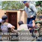 Profepa detecta más casos de posesión ilegal de venados en Tiquicheo, Huetamo y Tuzantla; inseguridad impide operativos