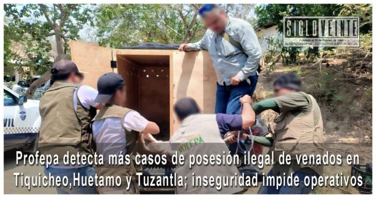Profepa detecta más casos de posesión ilegal de venados en Tiquicheo, Huetamo y Tuzantla; inseguridad impide operativos