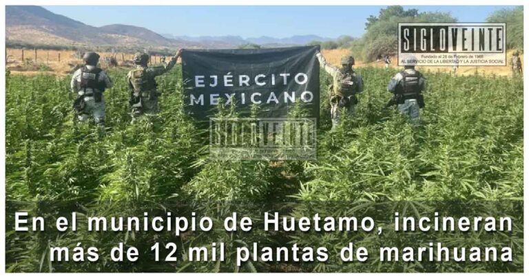 En el municipio de Huetamo, incineran más de 12 mil plantas de marihuana