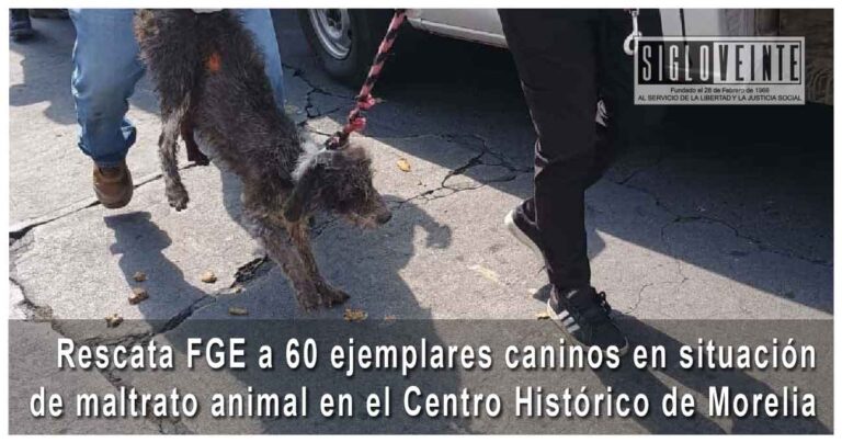 Rescata FGE a 60 ejemplares caninos en situación de maltrato animal en el Centro Histórico de Morelia