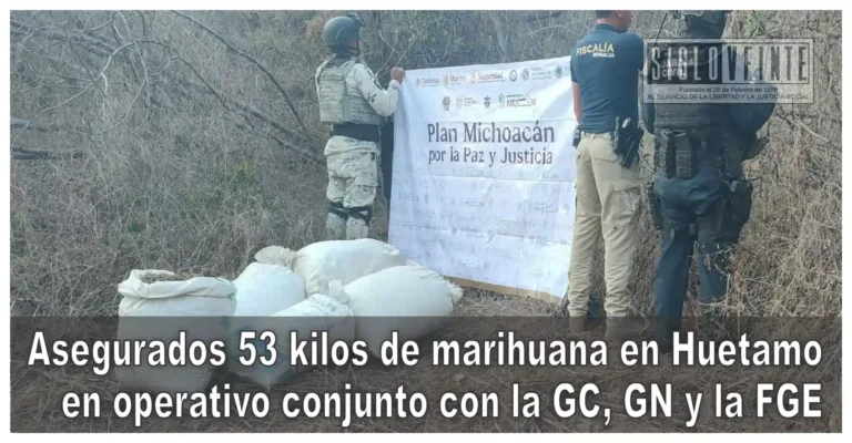 Asegurados 53 kilos de marihuana en Huetamo en operativo conjunto con la GC, GN y la FGE