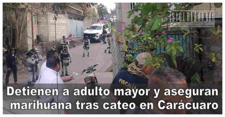 Detienen a adulto mayor y aseguran marihuana tras cateo en Carácuaro