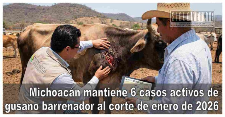 Michoacán mantiene 6 casos activos de gusano barrenador al corte de enero de 2026