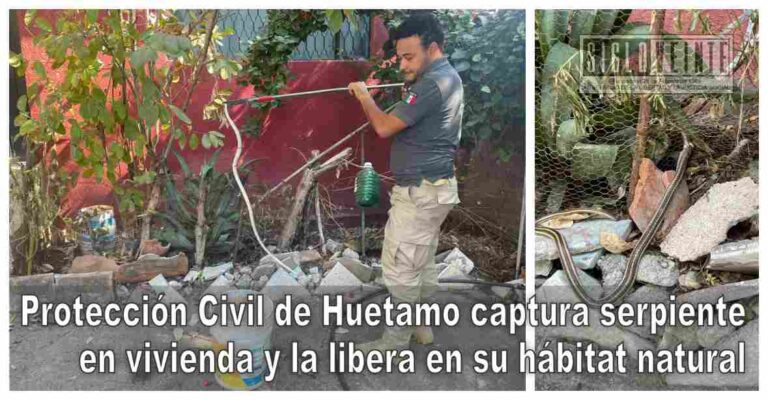 Protección Civil de Huetamo captura serpiente en vivienda y la libera en su hábitat natural