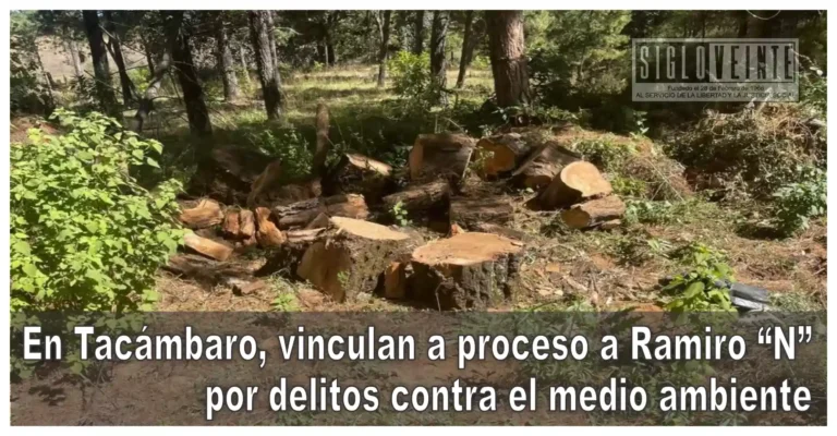 En Tacámbaro, vinculan a proceso a Ramiro “N” por delitos contra el medio ambiente