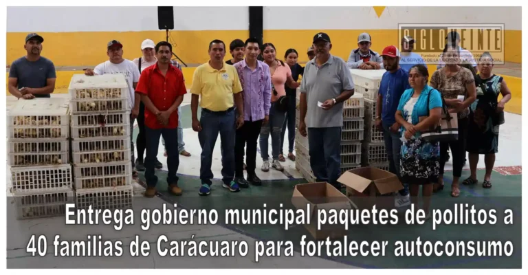 Entrega gobierno municipal paquetes de pollitos a 40 familias de Carácuaro para fortalecer autoconsumo