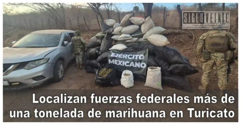 Localizan fuerzas federales más de una tonelada de marihuana en Turicato