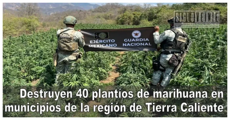 Destruyen 40 plantíos de marihuana en municipios de la región de Tierra Caliente