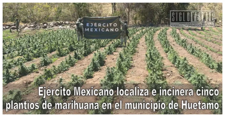 Ejército Mexicano localiza e incinera cinco plantíos de marihuana en el municipio de Huetamo