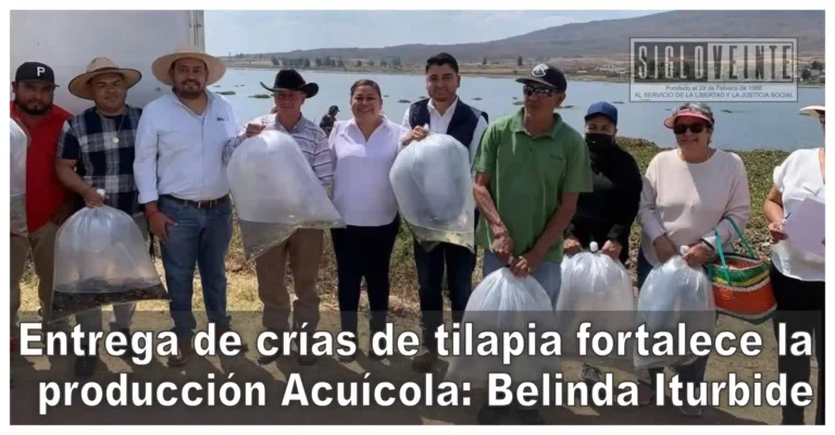 Entrega de crías de tilapia fortalece la producción Acuícola: Belinda Iturbide