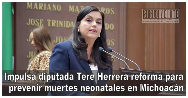Impulsa diputada Tere Herrera reforma para prevenir muertes neonatales en Michoacán