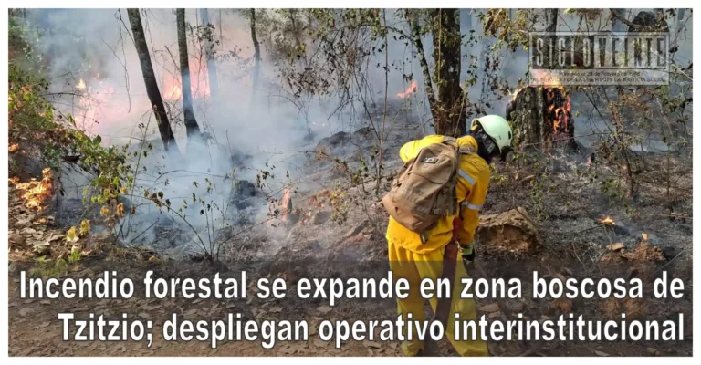 Incendio forestal se expande en zona boscosa de Tzitzio; despliegan operativo interinstitucional