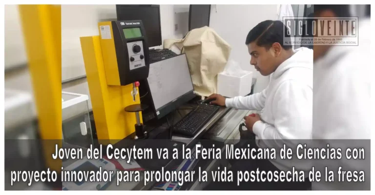 Joven del Cecytem va a la Feria Mexicana de Ciencias con proyecto innovador para prolongar la vida postcosecha de la fresa