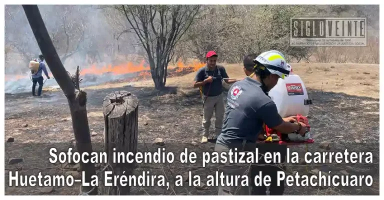 Sofocan incendio de pastizal en la carretera Huetamo–La Eréndira, a la altura de Petachícuaro