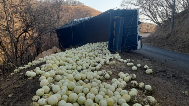Camión cargado con melones sufre percance en la carretera Huetamo–Tiquicheo