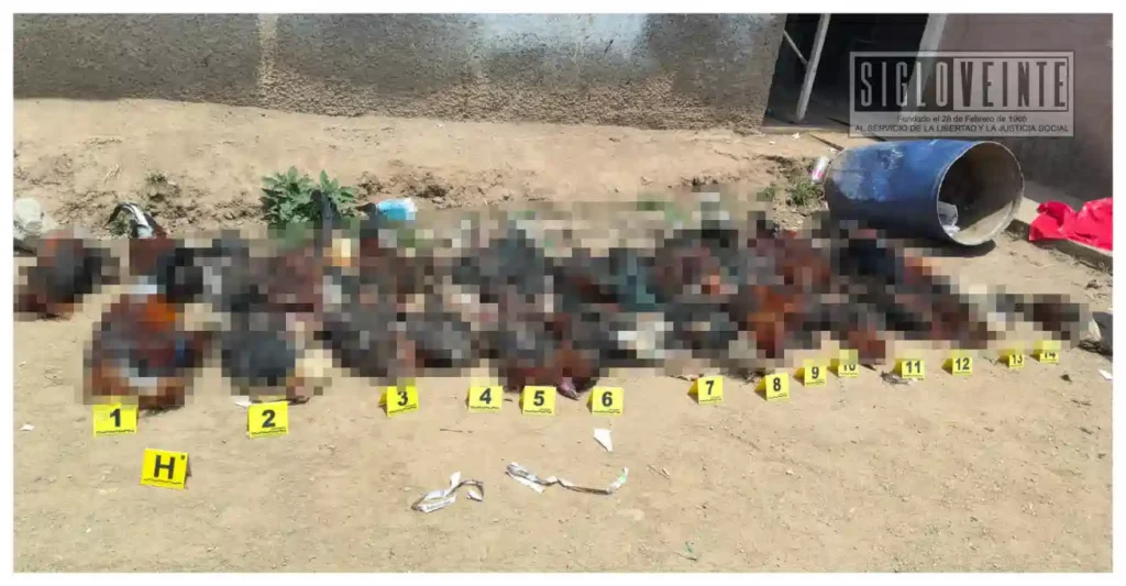 Asegura la FGE 29 gallos y localiza 41 sin vida en palenque clandestino en Morelia