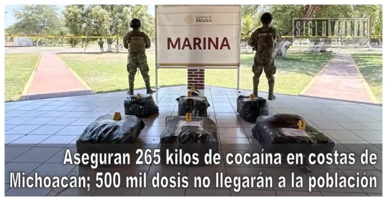 Aseguran 265 kilos de cocaína en costas de Michoacán; 500 mil dosis no llegarán a la población