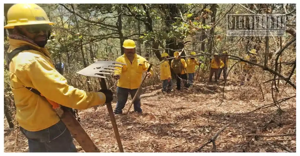 Atiende Gobierno de Michoacán incendio forestal en Salvador Escalante