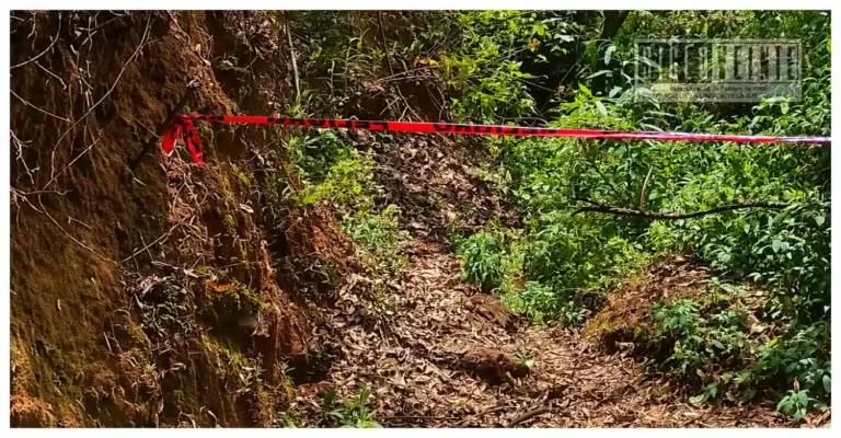 Hallan sin vida a mujer en zona boscosa de Santa Clara del Cobre