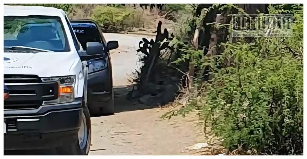 Hombre pierde la vida electrocutado mientras laboraba en árbol de tamarindo cerca de Nueva Italia