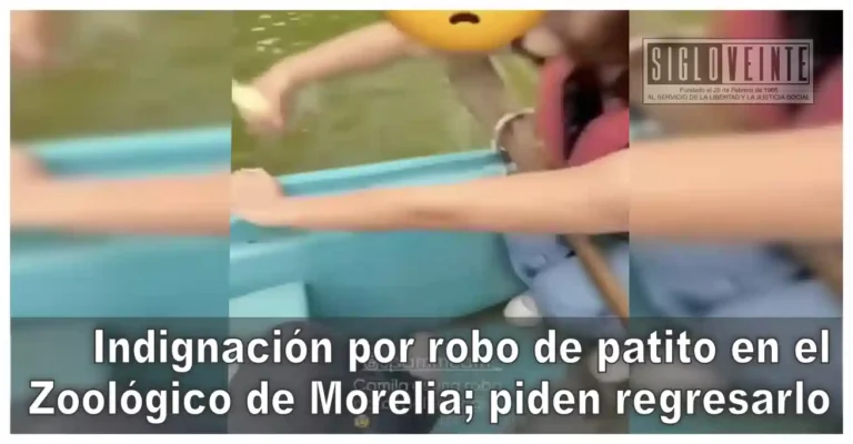 Indignación por robo de patito en el Zoológico de Morelia; piden regresarlo