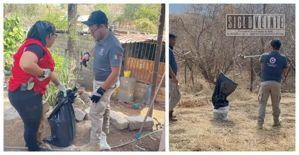 Serpiente en vivienda de Huetamo es capturada y liberada en hábitat sin riesgos