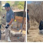 Serpiente en vivienda de Huetamo es capturada y liberada en hábitat sin riesgos