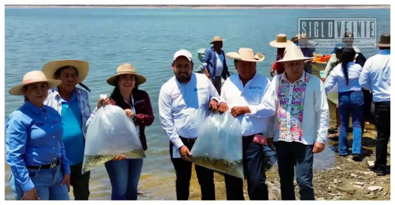 Siembran 150 mil tilapias para impulsar y garantizar el sustento de las comunidades pesqueras en Churumuco