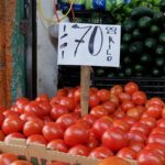 Consumidores pagan hasta tres veces más por kilo de jitomate de lo que recibe el agricultor