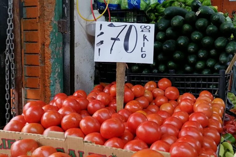 Consumidores pagan hasta tres veces más por kilo de jitomate de lo que recibe el agricultor