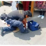 Abejas atacan a hombre en Zitácuaro; fue hospitalizado de emergencia