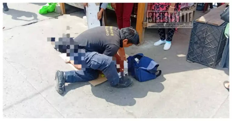 Abejas atacan a hombre en Zitácuaro; fue hospitalizado de emergencia
