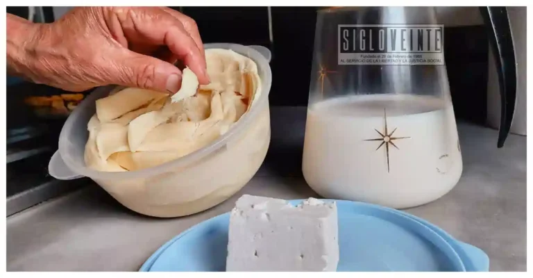 Brucelosis, un riesgo latente en regiones ganaderas como la Tierra Caliente; consumo de lácteos sin pasteurizar eleva riesgo