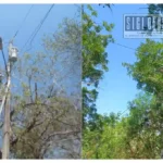 Mejoras en el alumbrado público fortalece seguridad y calidad de vida en Carácuaro: Hever Tentory