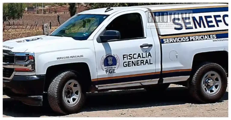 Vecinos de fraccionamiento al poniente de Morelia localizan a hombre colgado de un árbol