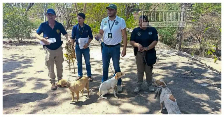 Asegura FGE a tres perros durante cateo en la colonia Unidad Deportiva de Huetamo