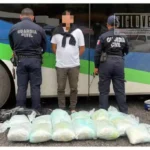 Aseguran más de 27 kilos de mariguana en autobús sobre la Autopista Siglo XXI