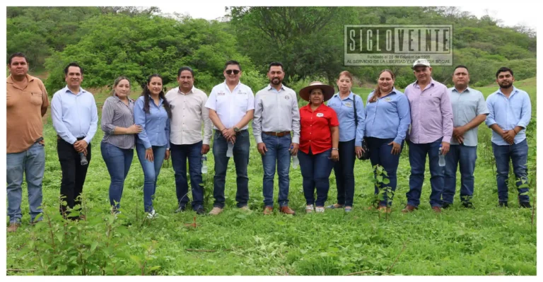 Avanza proyecto de Vivienda para el Bienestar en Carácuaro; revisan predio para futuras casas