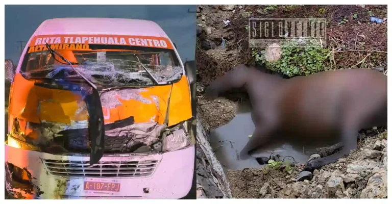 Choque entre transporte público y caballo deja daños materiales en Santa Bárbara, municipio Pungarabato