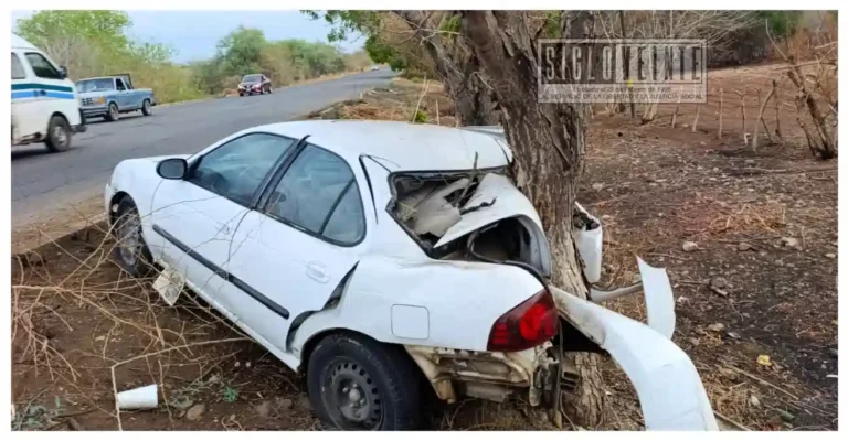 Conductor resulta lesionado tras accidente en la carretera Huetamo-San Lucas