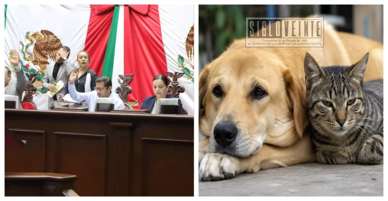 Congreso de Michoacán veta el envenenamiento de animales como método de control poblacional