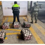 Decomisan más de 137 kilos de presunta cocaína en el puerto de Lázaro Cárdenas; hay cinco detenidos