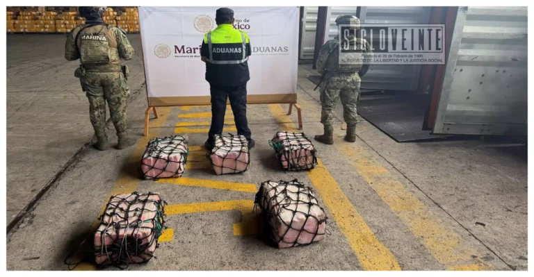 Decomisan más de 137 kilos de presunta cocaína en el puerto de Lázaro Cárdenas; hay cinco detenidos