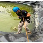 En Tacámbaro, rescatan a perro atrapado en hoya agrícola; buscan a sus dueños o una familia que lo adopte
